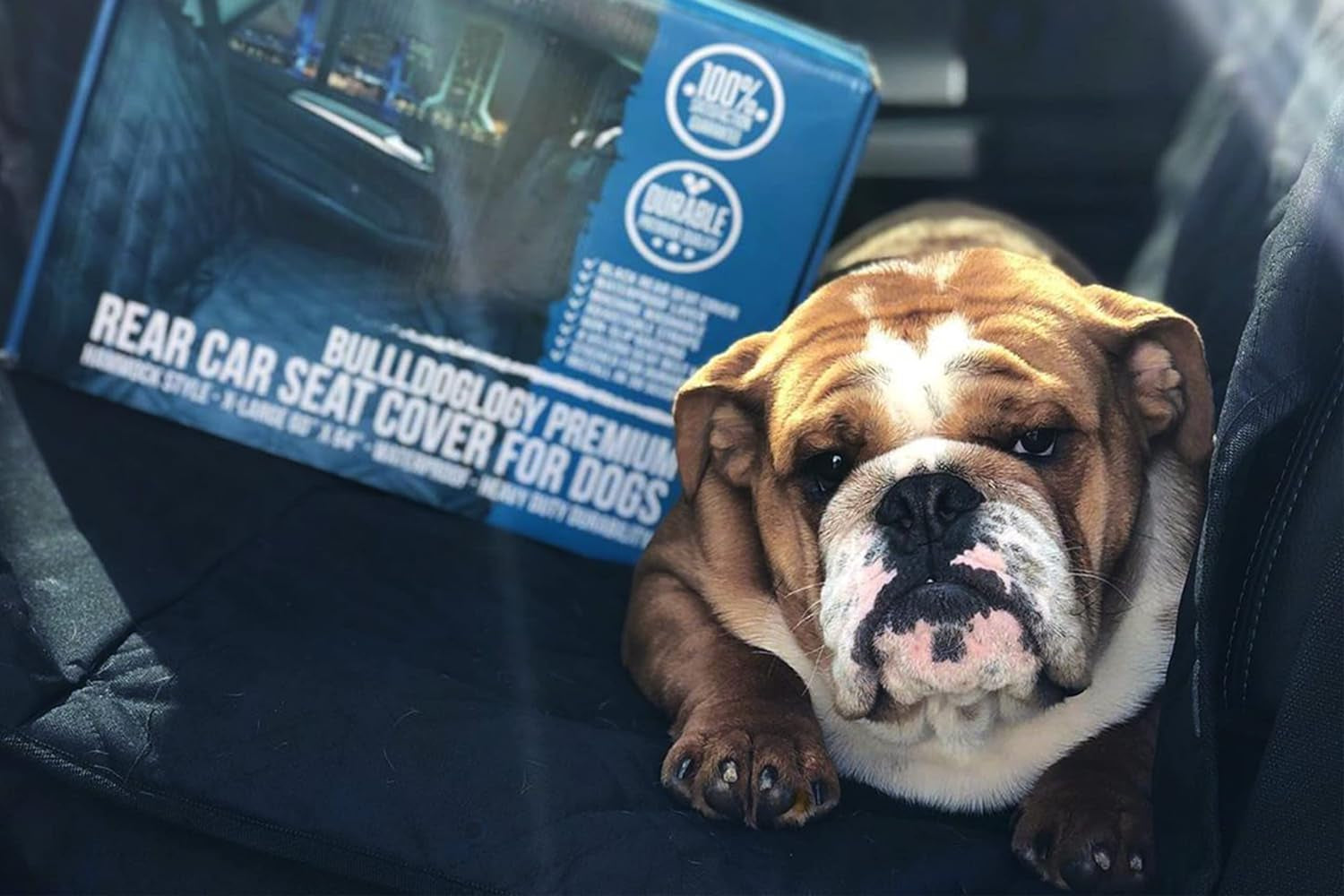  Waterproof Back Seat Protector for Dog - Truck (Large)